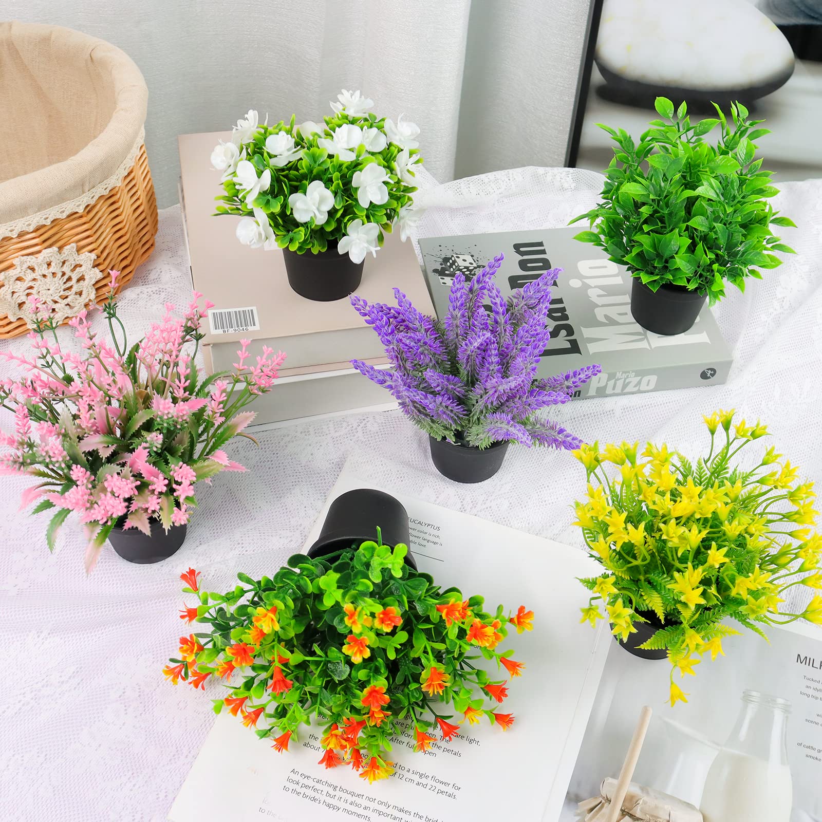 観葉植物・グリーンインテリア 6点セット